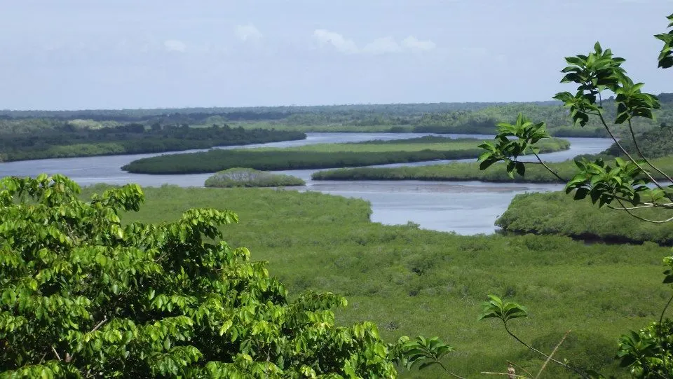 Rio Maraú