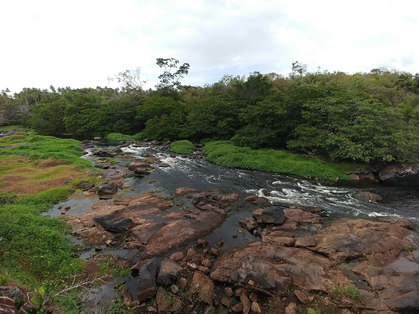 Reserva Ecológica Sapiranga